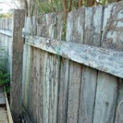 inspecting a fence for termite activity