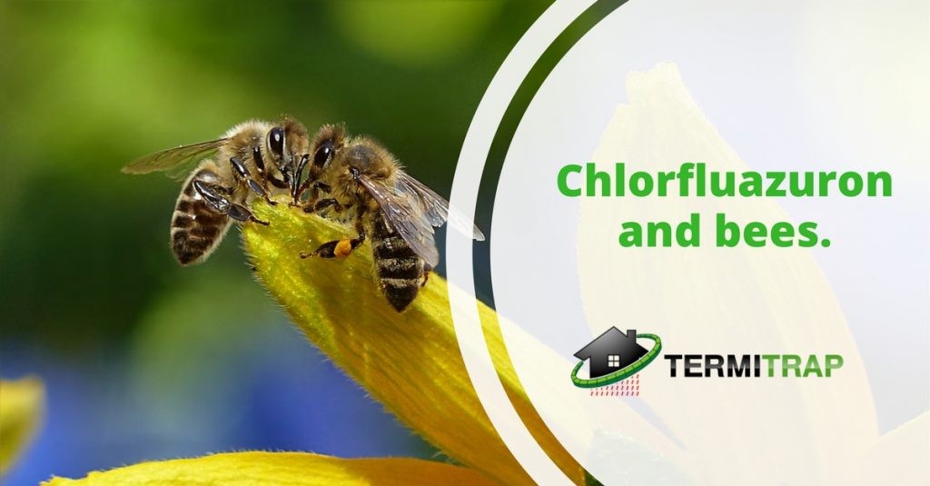 Chlorfluazuron and bees
