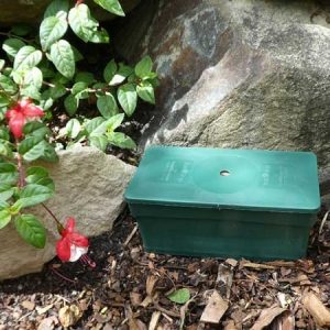 A green plastic box of a termite trap placed on a garden.