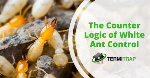 Image header that says "The Counter Logic of White Ant Control" as the featured image of the "the counter logic of white ant control" blog.