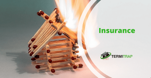 Image header that says "Insurance", with a background of wooden fire matches piled and being lit up.