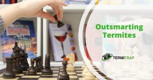 Image header that says "Outsmarting Termites", with a background of hand holding a chess-piece.