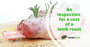 Image header that says "An inspection for a cost of a lamb roast", with a background of lamb meat with grass on top.