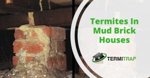 Image header that says "Termites In Mud Brick Houses" as the featured image of the "termites in mudbrick houses" blog.