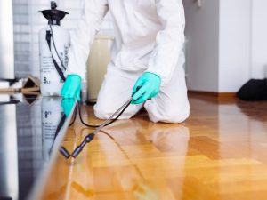 A Pests/Termites professional doing home inspection and as the featured image of "diy termite control" blog.