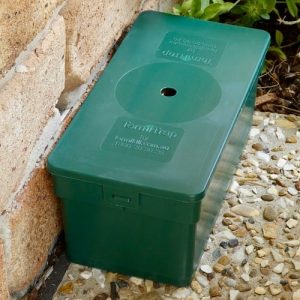 A green colored termite trap and as the featured image of "do-it-yourself termite control" blog.