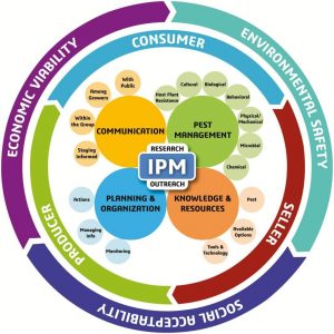 The process and cycle about IPM and as the featured image of "integrated pest management" blog.
