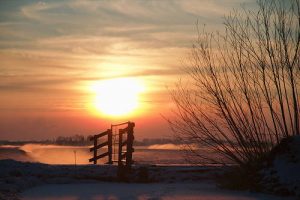 Overview of a sunset and that represents the "termites hibernate in winter" blog.