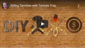 Killing termites with termite trap thumbnail that represents "diy termite trapping and bait system".